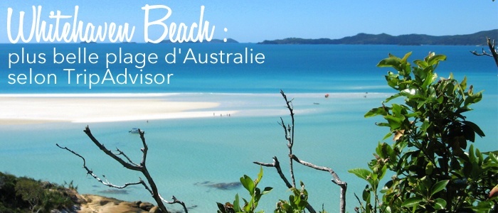 Whitehaven Beach : plus belle plage d’Australie selon TripAdvisor