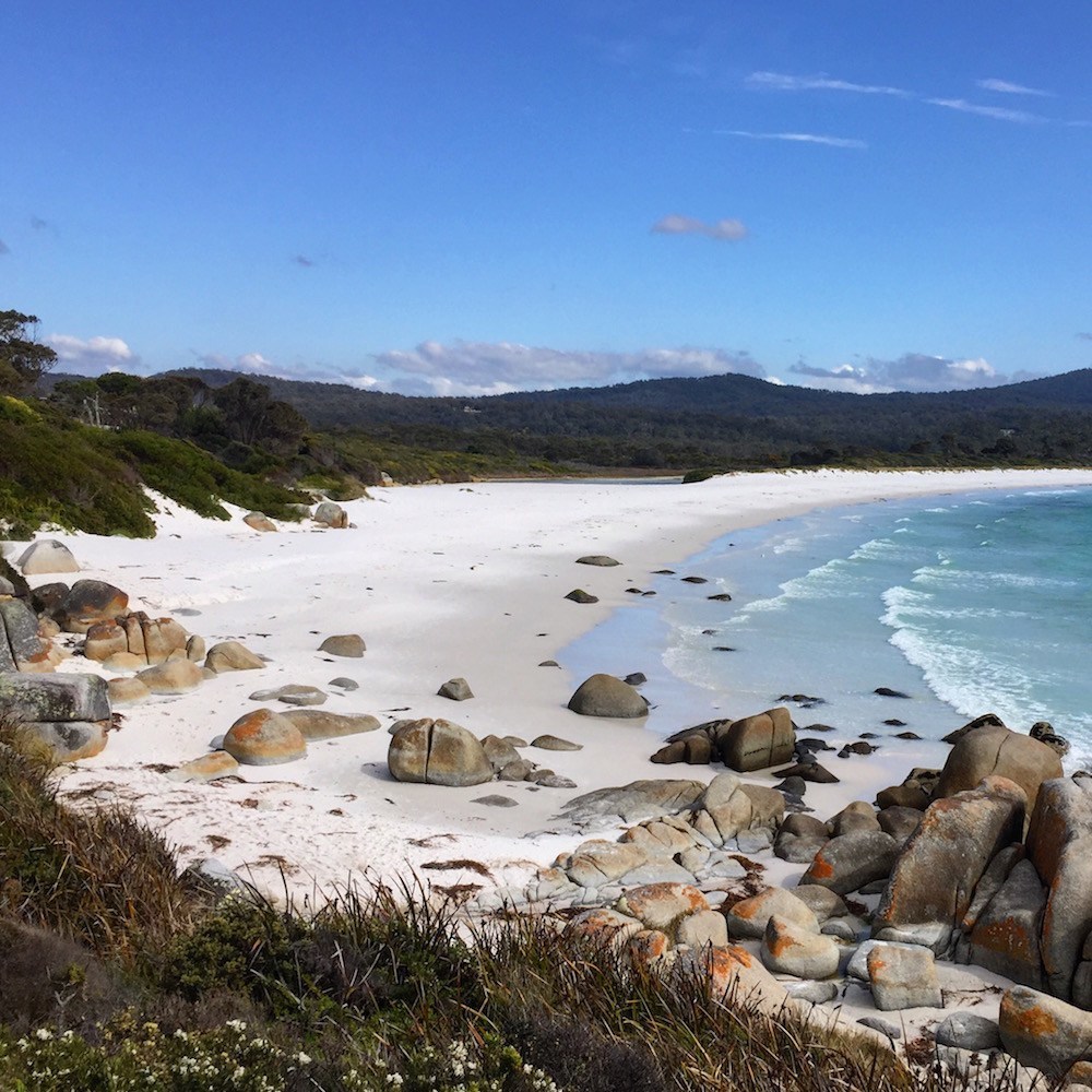 Tasmanie