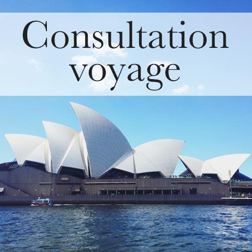Consultation voyage